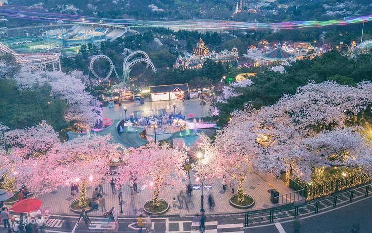 8D6N BUSAN/DAEGU/E-WORLD/SEOUL (SEOUL-BUSAN BY KTX)