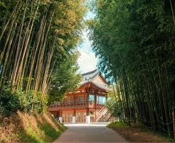 8D6N BUSAN/GWANGJU/JEONJU/SEOUL (01 WAY DOMESTIC FLIGHT)