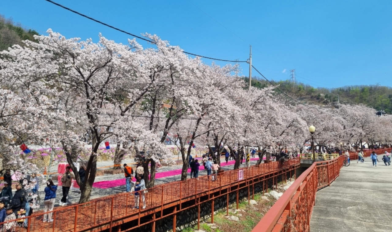 6D4N KOREA MUST-VISIT ROUTE (HANBOK EXPERIENCE VISIT NAMI ISLAND + GAPYEONG RAIL BIKE)