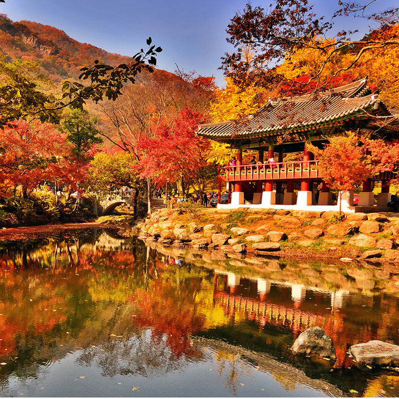6D4N AUTUMN KOREA (SEOUL/JEOLLABUK-DO/JEONJU)