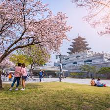 8D6N SEOUL/ NAMI ISLAND/ MOUNT SORAK + 01 DAY FREE & EASY
