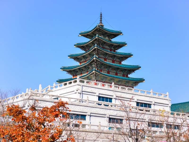 6D4N BUSAN + JEJU ISLAND (2 WAYS DOMESTIC FLIGHT)